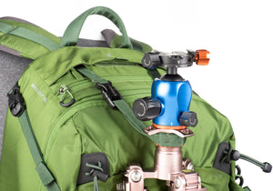 BackLight® 26L